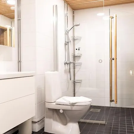 1br With Sauna In Pitajanmaki *